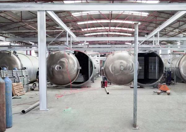 200kg 100Kg Máquina de desidratador de congelamento a vácuo de alimentos