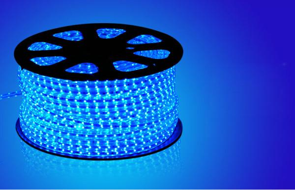 SMD 3528 60LED/M 220V 4.8W/M Blue LED strip light