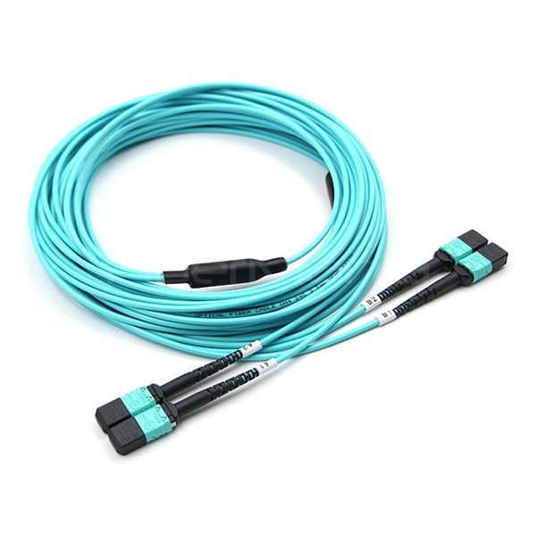 FiberMania Femme à femme 2 x MPO câble de tronc 24 fibres OM3 OFNR Aqua Jack