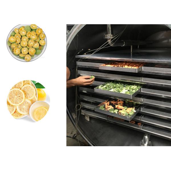 Фрукты овощи Промышленный дегидратор для заморозки 100 кг/партия