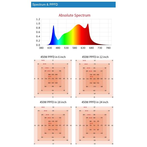 СИД Fitolampy обломока СИД 5050 ламп 300 5M Phyto растет света