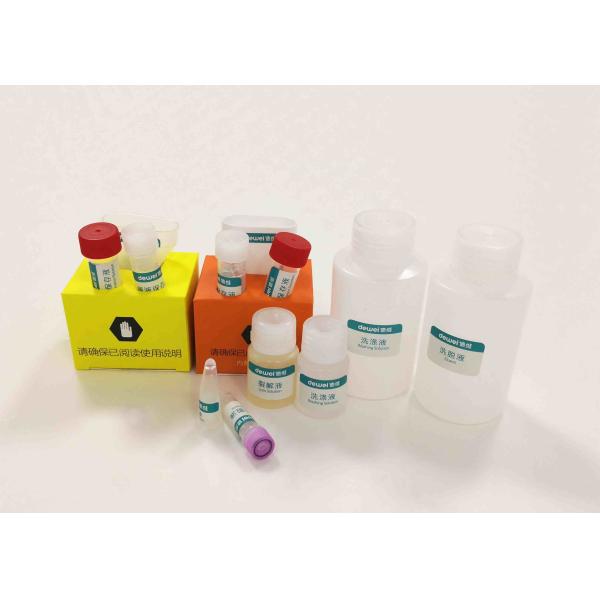 RNA DNA Purification Extraction Kit Sterile Urine Preservative Tubes Medical PET / Glass Material