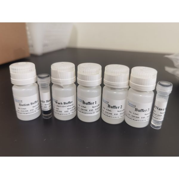 Mag Beads Big Volume Plasmid DNA Extraction Kit For Molecular Experiments