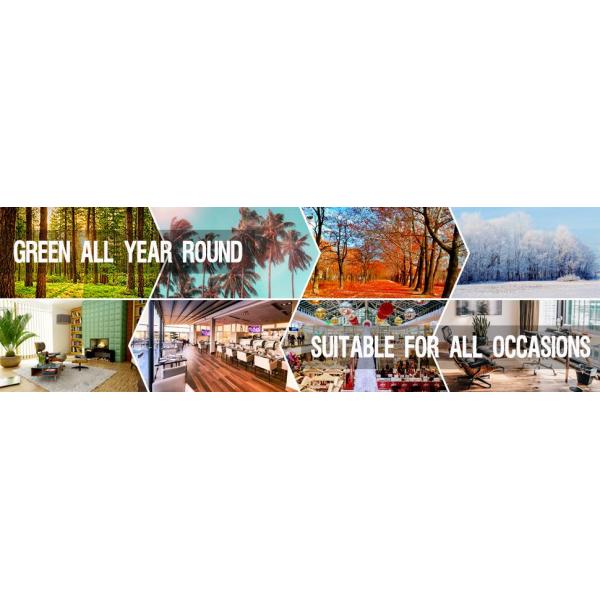 Artificial Monstera Deliciosa Plant 37