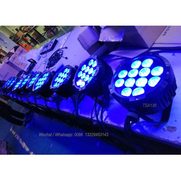 IP65 4 /5/6 in one Outdoor Waterproof Led Flat Par Lamps 12 Leds Outdoor Use TSA136