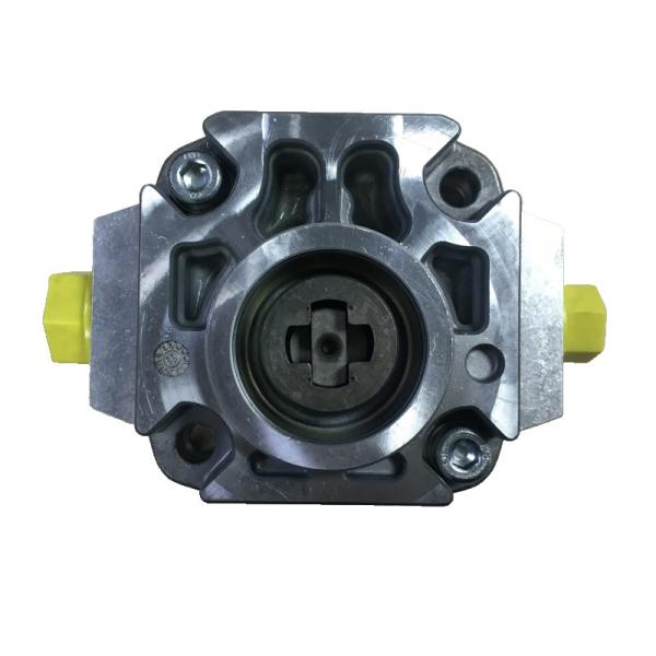 Rexroth PGF2-22 006RN01VM Pompe à engrenages hydrauliques à haut rendement Sécurité Nouveau
