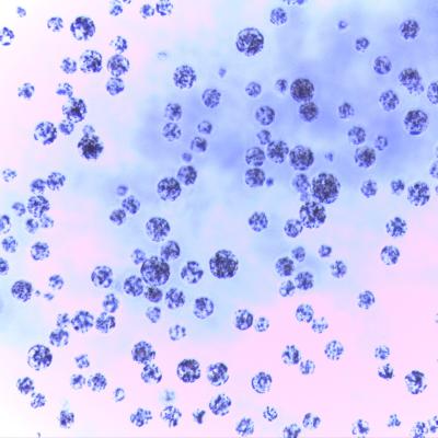 5 mL Magnetic Agarose Beads For Protein Purification 30 - 150 μm 20% Volume Ratio