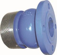 ANSI 150 RF Stainless Steel Foot Valve SS 316 Body And Bonnet Spring And Mesh