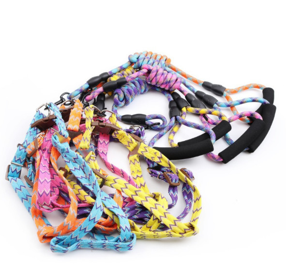 Регулируемая небольшая тренировка проводки и руководства собаки идя для собак