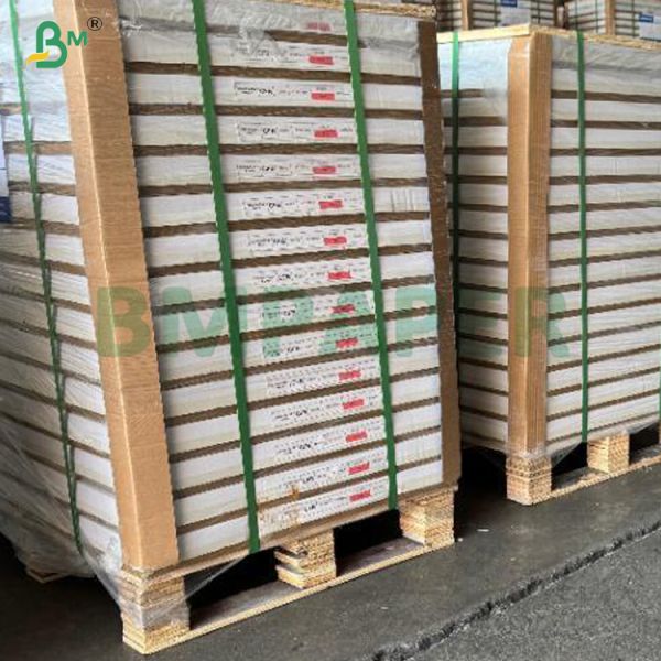 230gsm + 15PE Coated  White Cup Stock Paper For Paper cup / Bowl