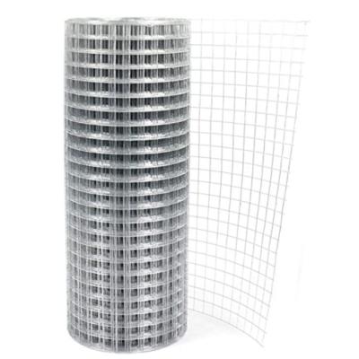 Largement utilisé galvanisé filet de fil de fer soudé pour poulet stylos Et galvanisé filet de fil de fer soudé cage