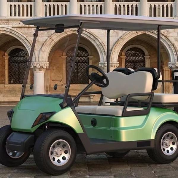 1000kg 100km Passenger Limo Golf Cart Custom