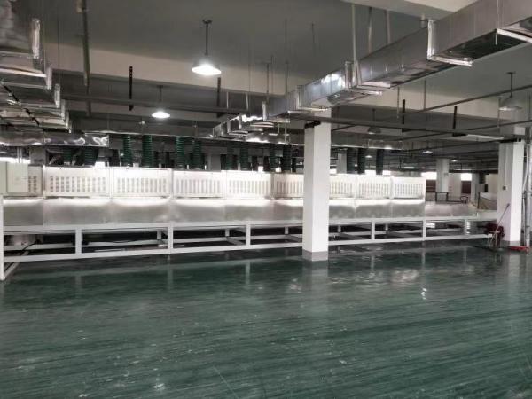 Máquina industrial de secagem por microondas de alimentos de 380 V 10 m/min para solo de cartão