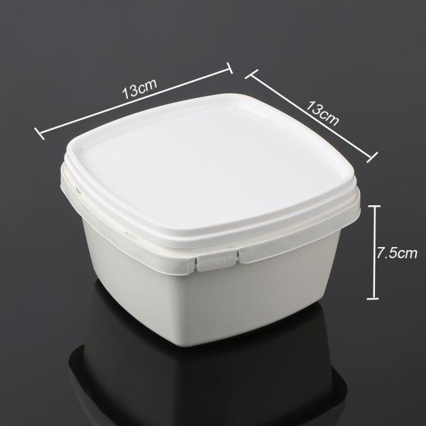 500g Compostable Dishware Take Away Food Container