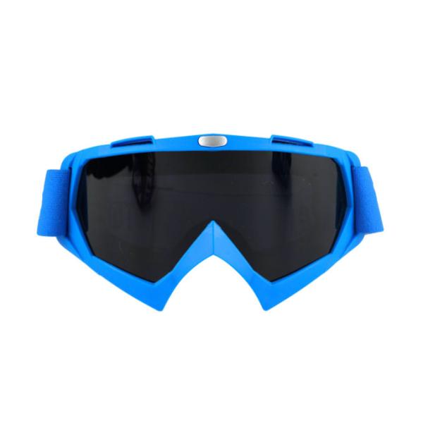 Eyewear сноуборда анти- изумленных взглядов лыжи снега дисплея тумана стеклянный