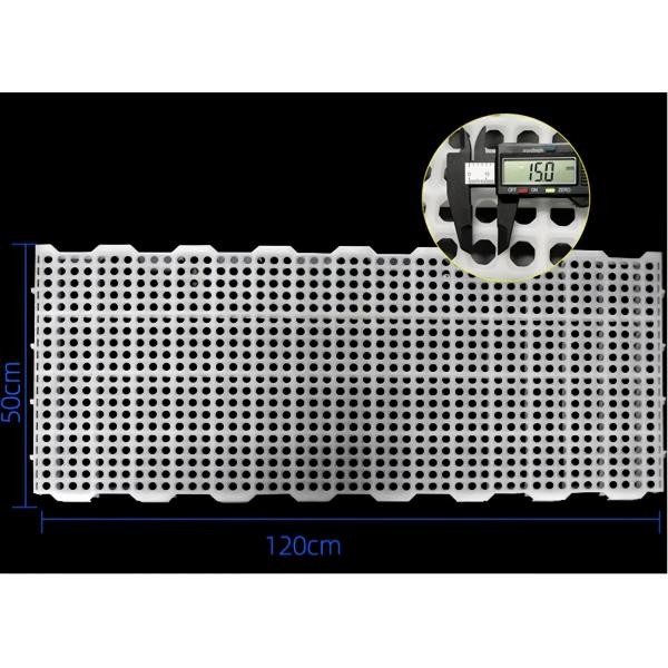 Goat Farm Plastic Slatted Floor Broiler House White / Customized