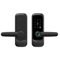 Tuya Smart Glass Door Lock with Fingerprint and Bluetooth