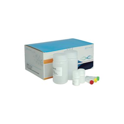 FFPE DNA Extraction Kit