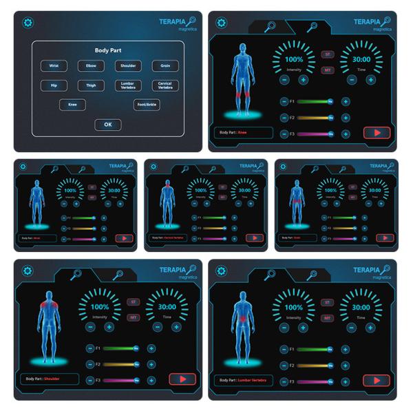 La machine de thérapie par transduction électromagnétique réduit les douleurs articulaires de l' épaule / de la hanche / du genou / de la cheville
