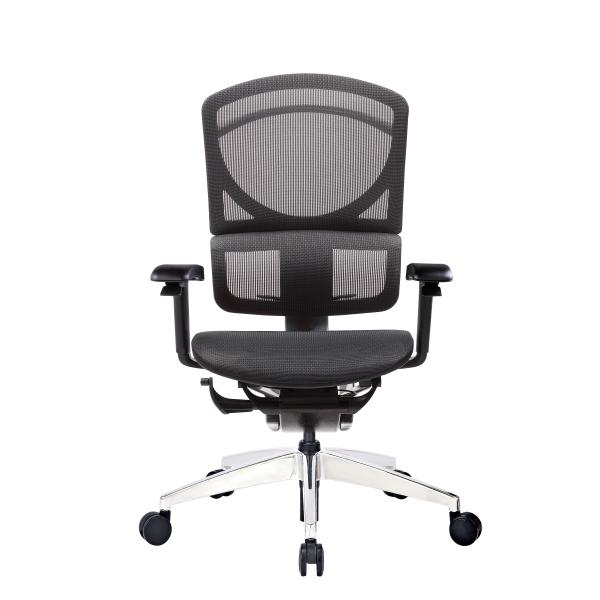 ISEE X Swivel Ergonomic Office Chairs BAS System Rolling With Back Support Full Mesh