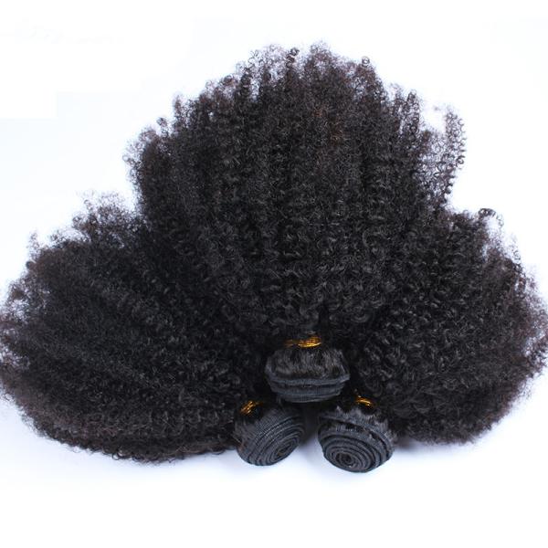 1B Afro Kinky Curly 100% Brazilian Virgin Hair Bouncy And Soft With Elasticity