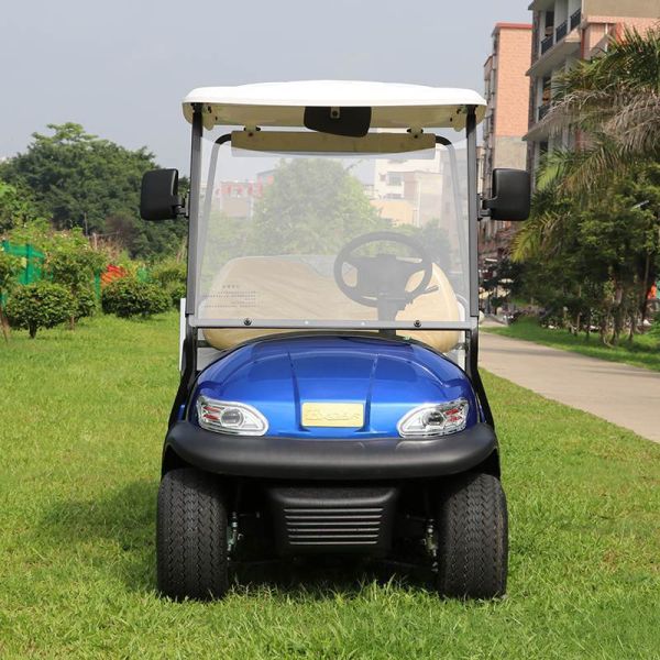 CE Approved Green 48V Trojan Hotel Buggy Car , 2 Seats Electric Utility Golf Carts