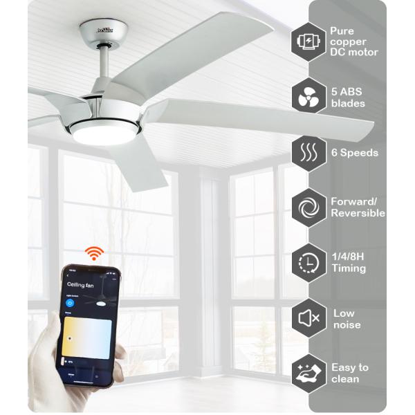 Controle remoto Ventilador de teto LED Alto fluxo de ar 5 lâminas 65 polegadas 2- com luz e controle remoto