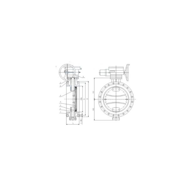 Fire Fighting Flange Butterfly Valve