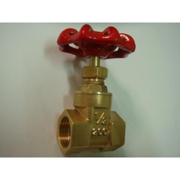 CE Brass Water Fountain Equipment Fountain Gate Valve SS304 NPT Female Thread