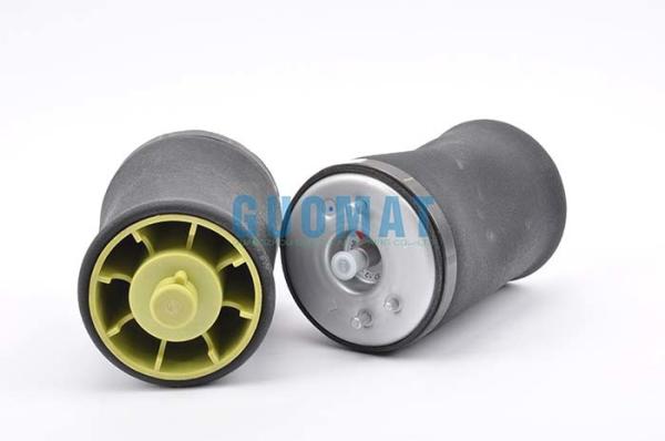 BMW X5 E53 Pneumatic Spring Air Suspension Shocks Rear Left And Right 37126750355／37126750356