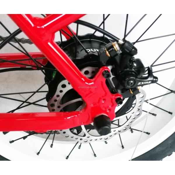 1000W 48V 21AH 7 Speed Disc Brake 20