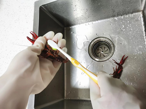 Unflock Lining Nitrile Dishwashing Gloves Household 38cm White Nitrile Glove