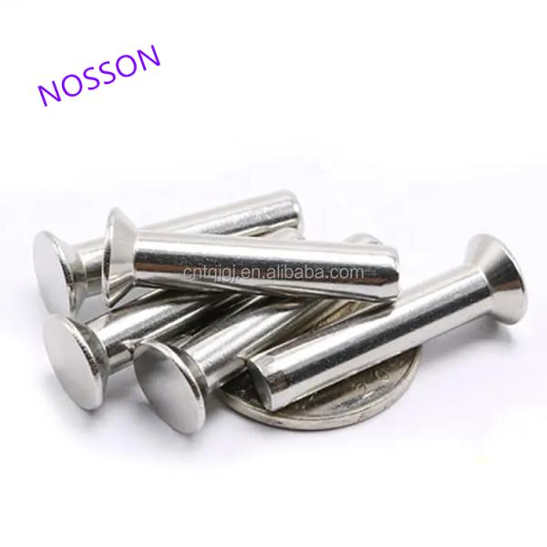 Brass M8 M10 M12 Countersunk Head Solid Rivet Bright Finish Uncoated ISO Standard for Temperature Environments
