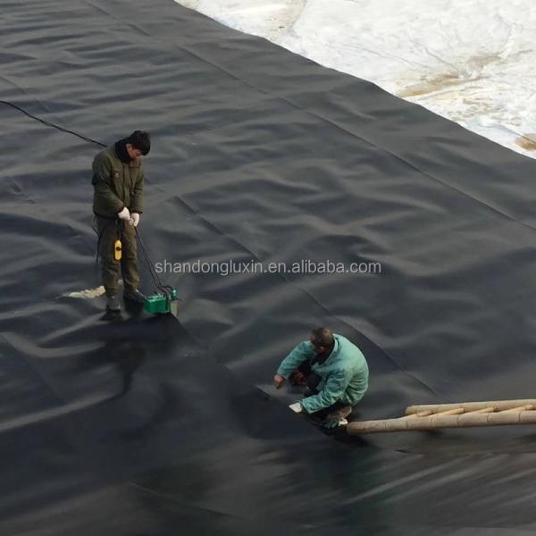 Total Solution for Projects Industrial Design Style HDPE Geomembrane Fish Farming Tanks