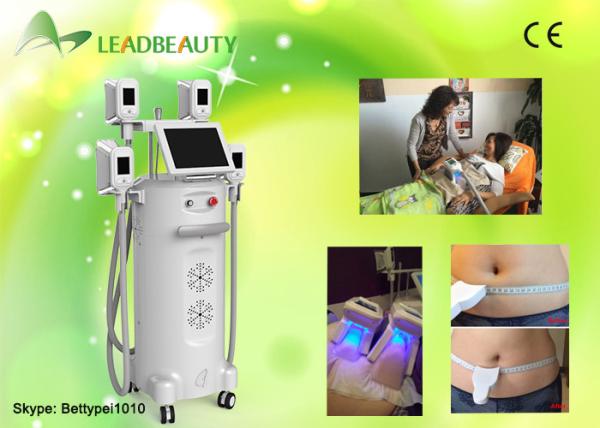OEM / ODM Service 2016 professional beauty machine max -15 Celsius cryolipolysis reviews medical