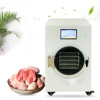 Laboratoire industriel à domicile Mini séchoir à gel instantané Café herbe fleurs Liophilisateur alimentaire