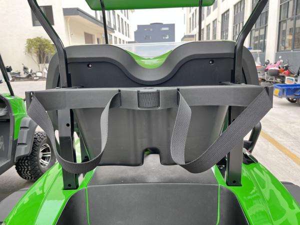 Fabrica Venda por atacado Carrinho de Golf Preço Elétrico Pneus Off Road 4 Roda 2 lugares para Venda