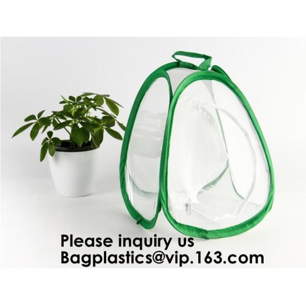 Agricultural Greenhouses for Tomato Planting,Pop-Up Tomato Plant Protector Serves as a Mini Greenhouse to Accelerate Gro