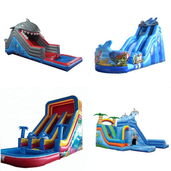 Max Capacity 100-500kg EN7114960 Small Garden Inflatable Water Slide