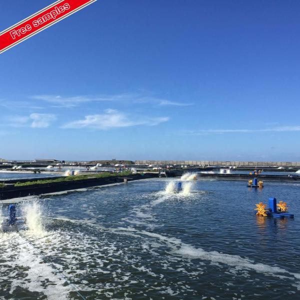 0.3mm 0.5mm 0.75mm Geomembranas de revestimento de quinta de camarão para criação de peixes e revestimento de aterros sanitários