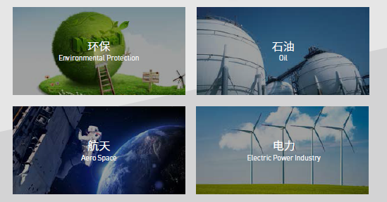 Industrial Ceramic Parts Sealing Rings