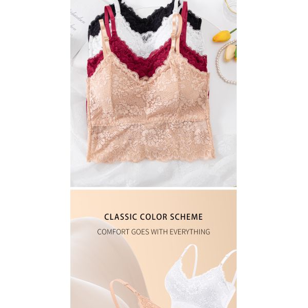 Women Lace Bra High Quality Lace Undergarments S-XL Sizes Available Multi-Colors Women Underpants Wholesale Sourcing Bra