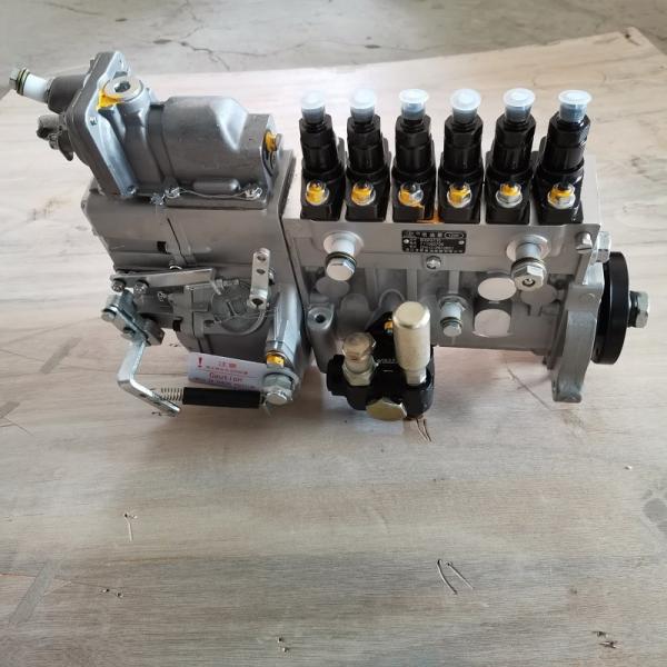 Bombas de injecção de combustível de alta pressão CP61Z P61Z651 B Para reparação de motores Shangchai