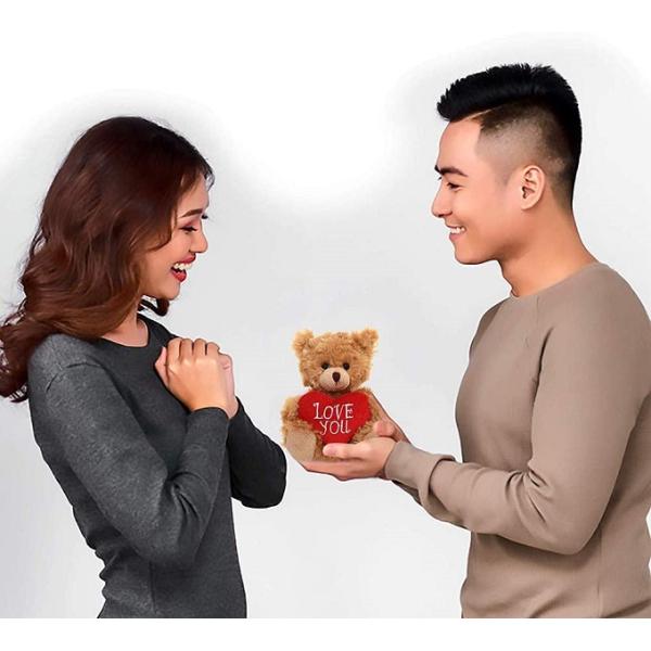 3x6 Inches Plush Teddy Bear 3.2 ounces Wedding Anniversary Gifts
