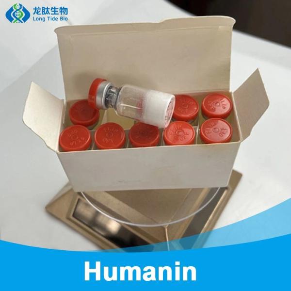                    High Purity Hot Sales Humanin Human Peptide Customized 330936-69-1             