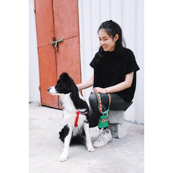 Fabric Puppy Dog Poop Bag Holder Pet Waste Bag Dispenser For Home Leash