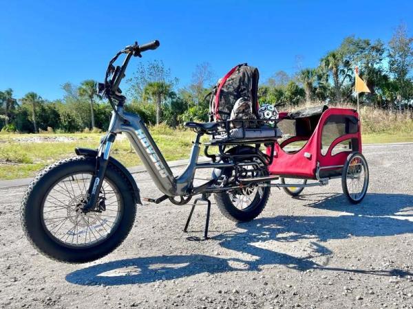 Family 48V 250W Lithium Battery Disc Brake Aluminum Alloy Frame Electric Cargo Bike Front Box Long Tail Brushless Motor 7-Speed
