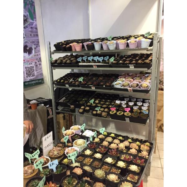 Полка дисплея завода сада 4 рицинусов, вагонетка бака завода L1350mm сверхмощная