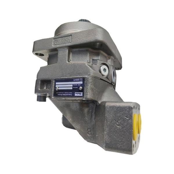 Standard Parker Hydraulic F11/F12 Series Fixed Displacement Motor and Pump in Cast Iron