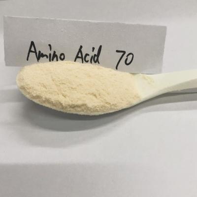 Adubo orgânico do ácido aminado vegetal da origem 70% no formulário do pó